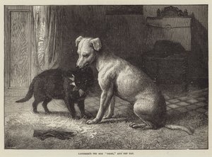 Il cane Tiney e il gatto domestico di Landseer da Ebenezer Newman Downard